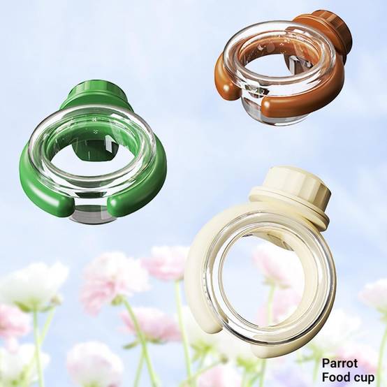Bol à fixer pour petits perroquets DtopbuyAge - Image 3