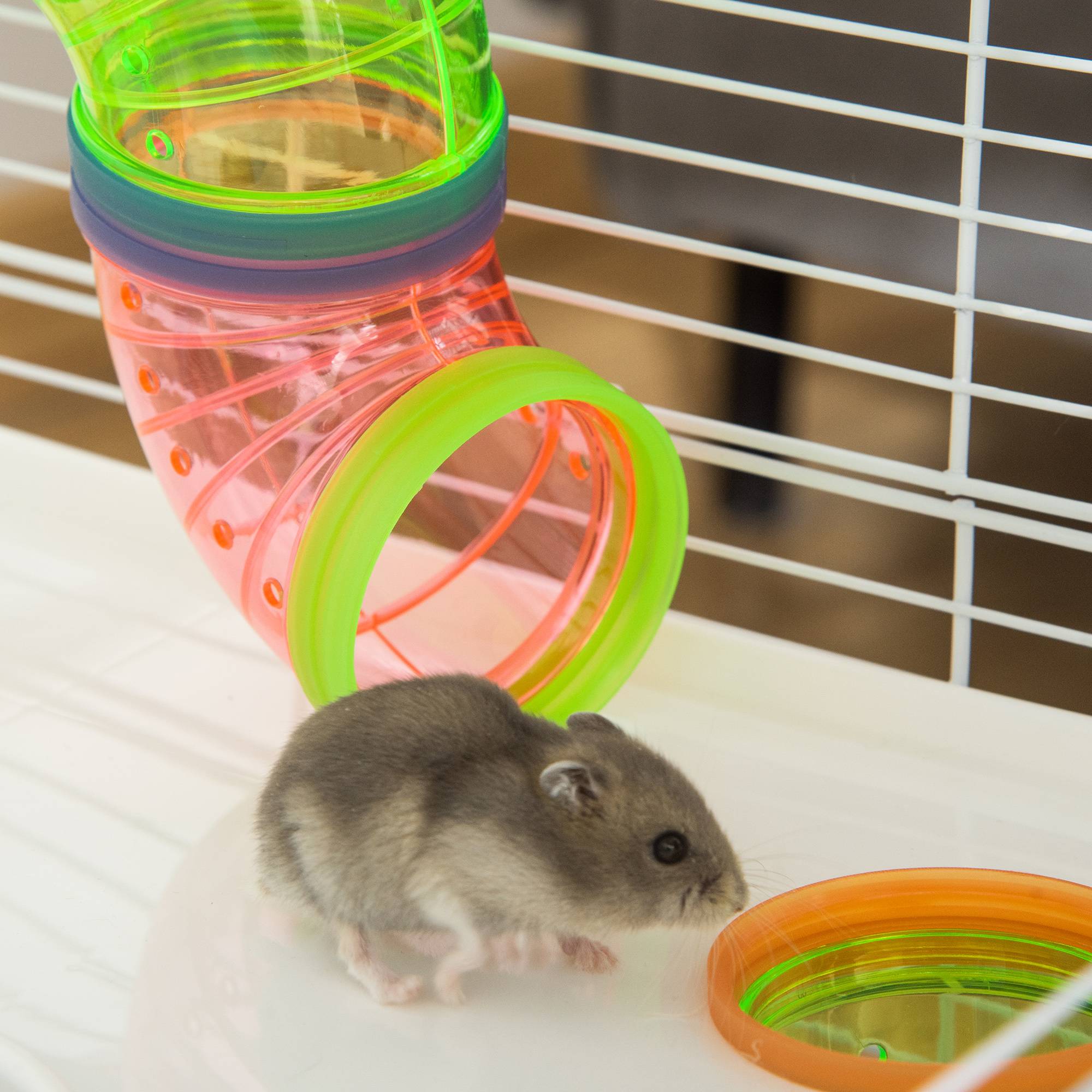 Pawhut - Grande cage à hamsters 5 niveaux - tunnels, abreuvoir, roue, maisonnette, échelles - dim. 59L x 36l x 69H cm - métal PP bleu blanc - Image 9