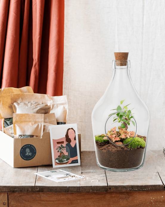 La Green Touch - Kit Terrarium Diy - H30cm - Image 1