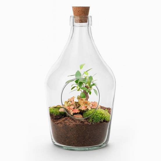La Green Touch - Kit Terrarium Diy - H30cm - Image 3
