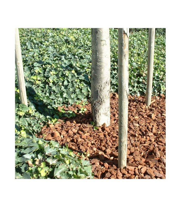 Paillage végétal biodégradable écorces de pin maritime 48 sacs 50 L pour 10m2 - KOM37-48x50 - Image 3