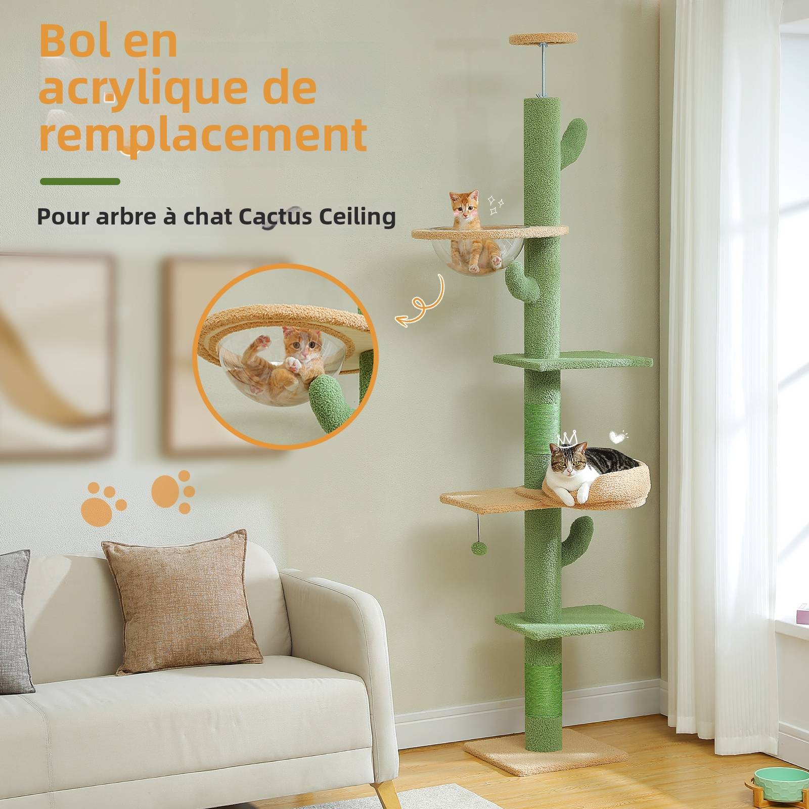 Arbre à Chat Cactus du Sol au Plafond 205-255 cm PAWZ Road - Image 3