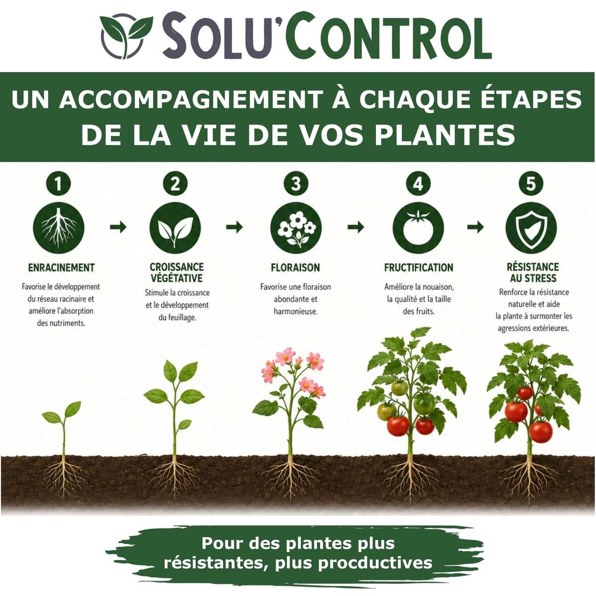 Tout pour les nuisibles - Végé'Reprise 250 mL - Biostimulant concentré aux acides aminés, algues et oligo-éléments Solu'Control - Fabriqué en France - UAB - Image 2