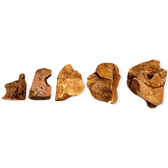 Racine de Bruyère pour Chien XS 50-150g - Image 4
