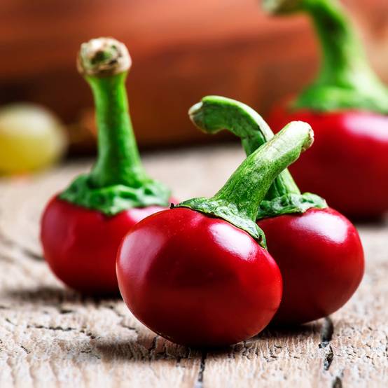 Piment Red Cherry Small Bio - Ferme de Sainte Marthe le sachet de 20 graines environ