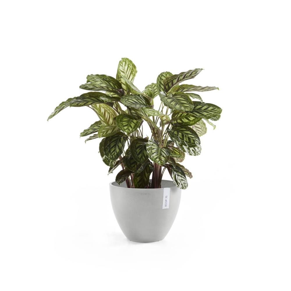 Ecopots - Pot Rond Antwerp 30 Blanc Gris - Ø 30 x H. 25,5 cm - 11,4 L ECOPOTS - Image 1