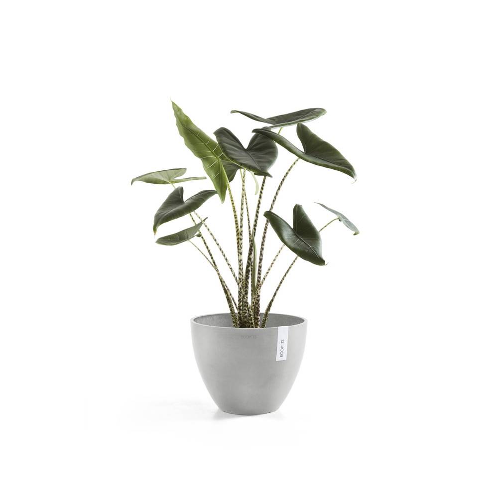 Ecopots - Pot Rond Antwerp 30 Blanc Gris - Ø 30 x H. 25,5 cm - 11,4 L ECOPOTS - Image 3