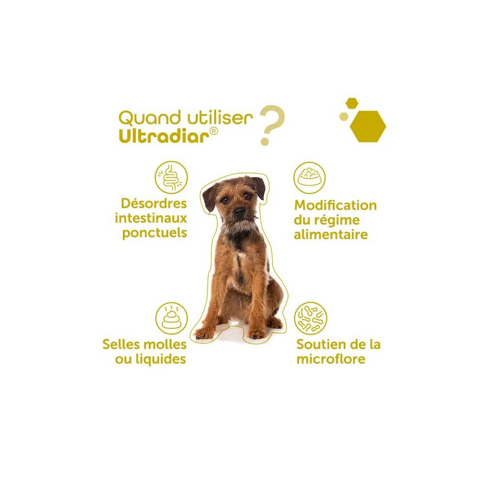 Pack Transit Régulier & Flore - Fiberact + Ultradiar  - MP Labo 1 pack - Image 5