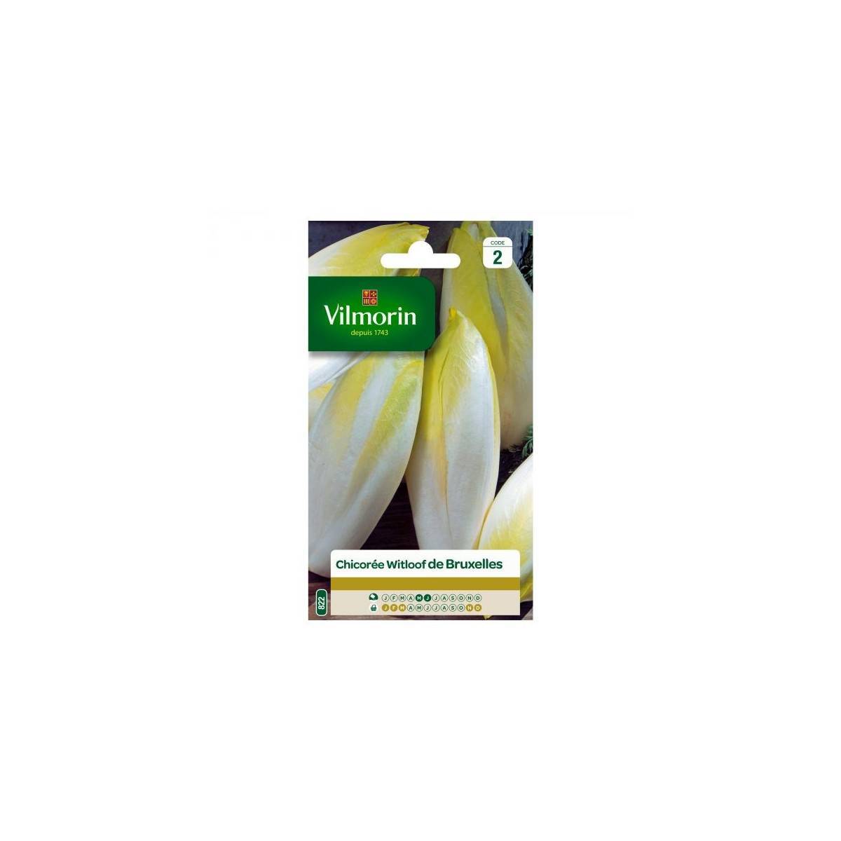 Vilmorin - Sachet graines Chicorée Witloof Platine