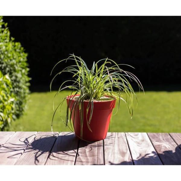 EDA Plastiques - Eda Pot De Fleur Rond Toscane - ø 30 X H 26 Cm - 10 L - Rouge Rubis - Image 2