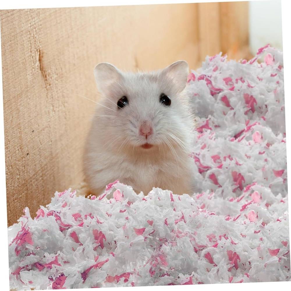 DtopbuyAge - Tapis d'entraînement pour hamsters DtopbuyAge - Image 2