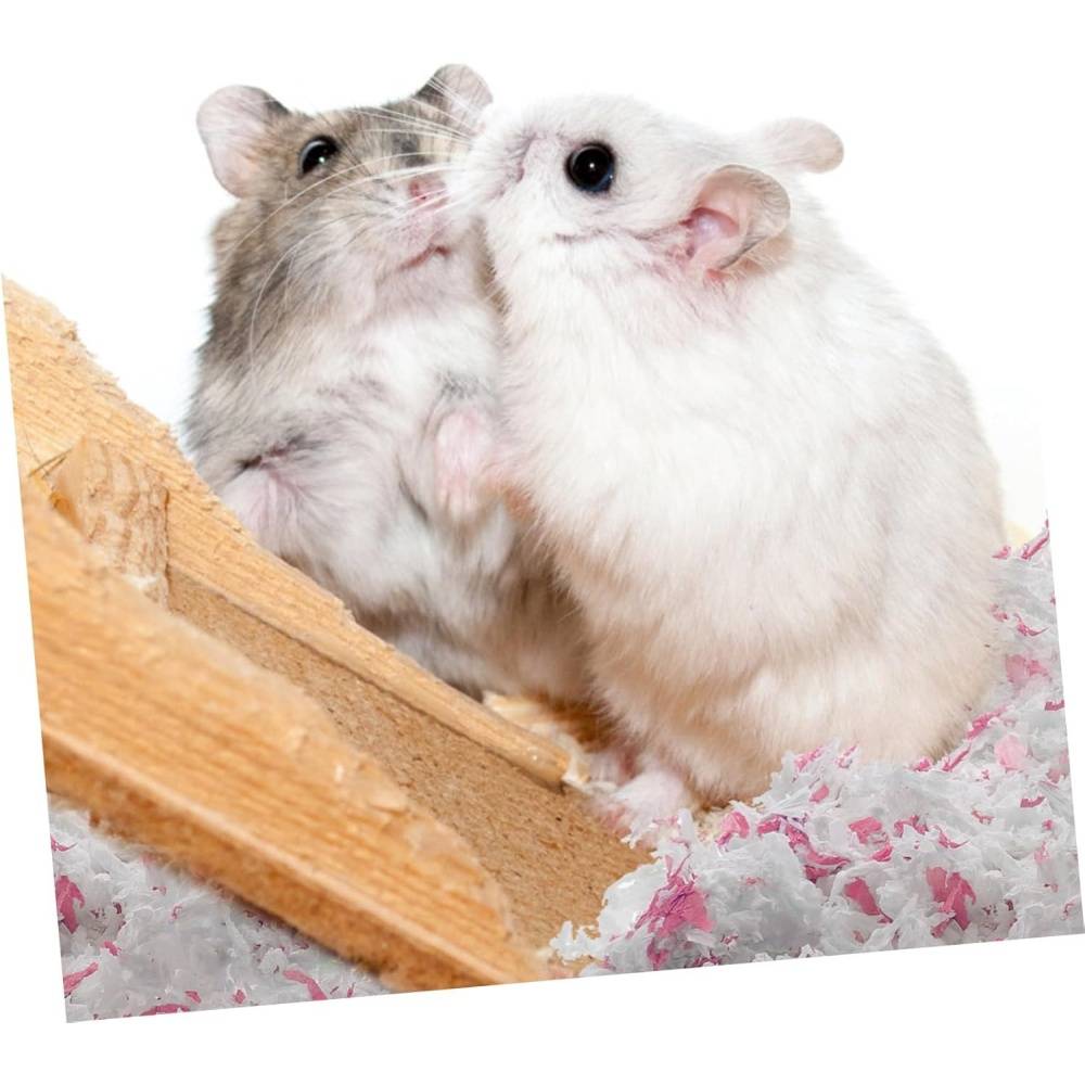 DtopbuyAge - Tapis d'entraînement pour hamsters DtopbuyAge - Image 4