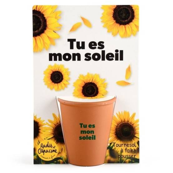 Radis et Capucine - Radis et Capucine - Carte message - Tu es mon soleil - Tournesol - Image 5