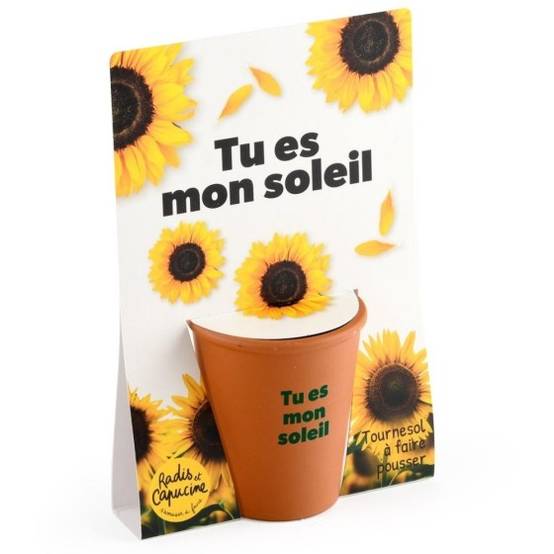 Radis et Capucine - Radis et Capucine - Carte message - Tu es mon soleil - Tournesol - Image 1
