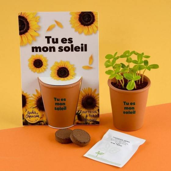 Radis et Capucine - Radis et Capucine - Carte message - Tu es mon soleil -  Tournesol - Image 2