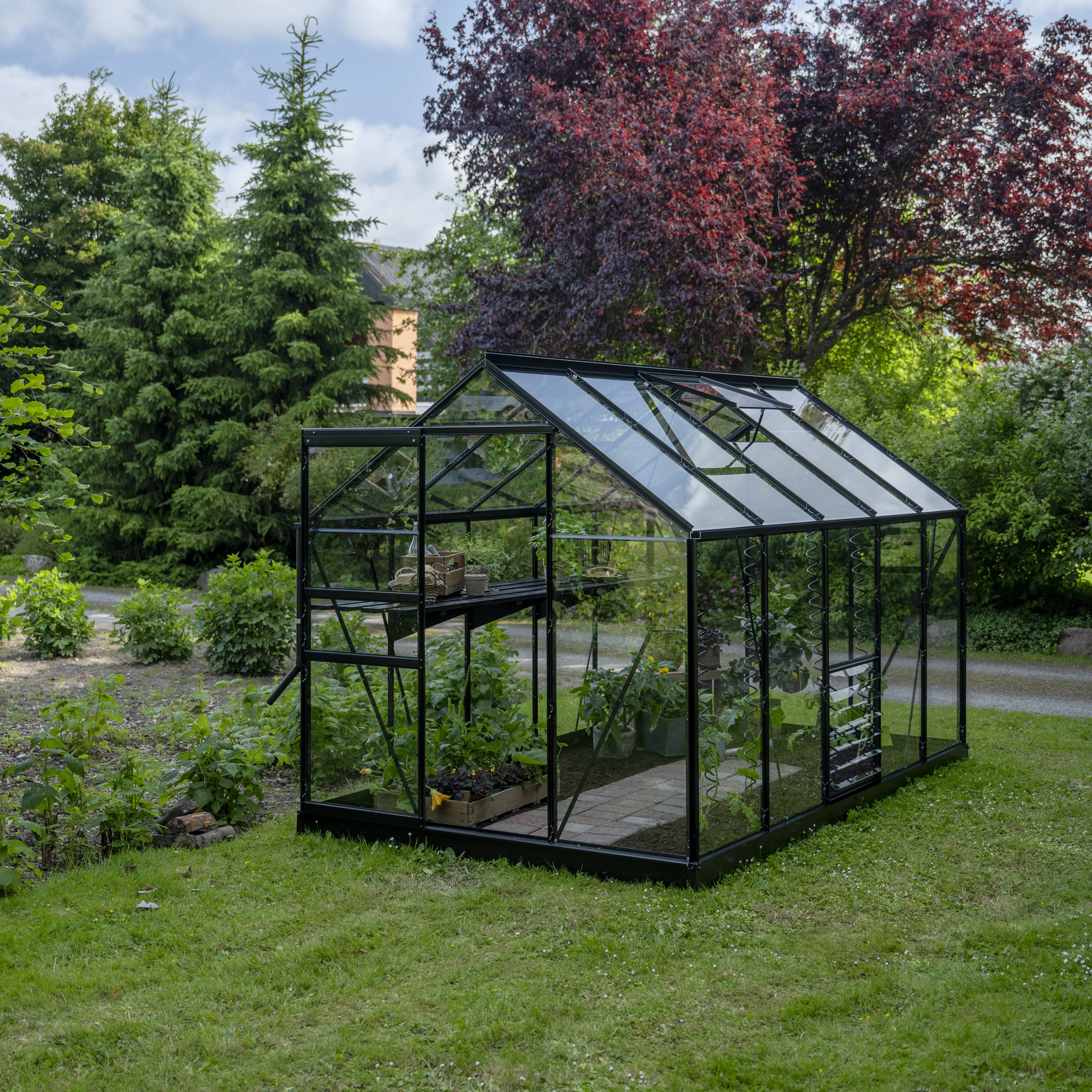 Halls - Serre en verre trempé 6,2 m² + embase - Popular 106, noir - Halls