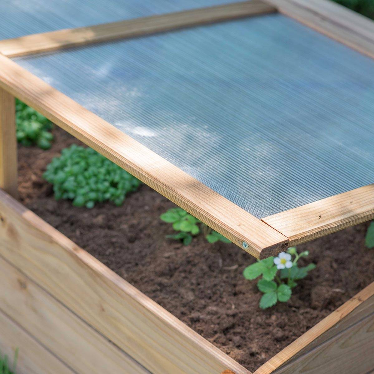 Serre châssis en bois 100 cm - Cémonjardin - Image 5