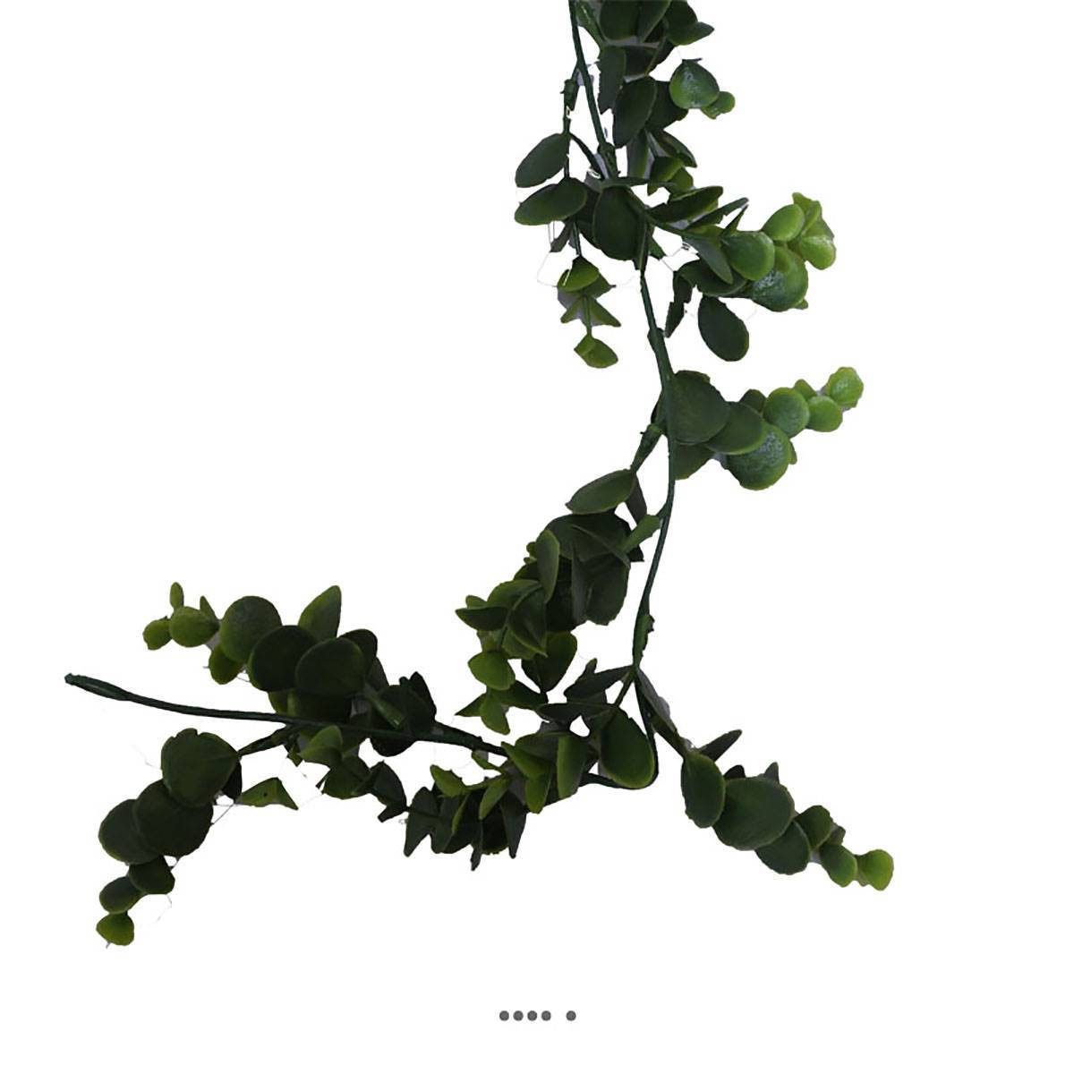 Artificielles - Guirlande d'eucalyptus artificiel L 150 cm en plastique - Image 2