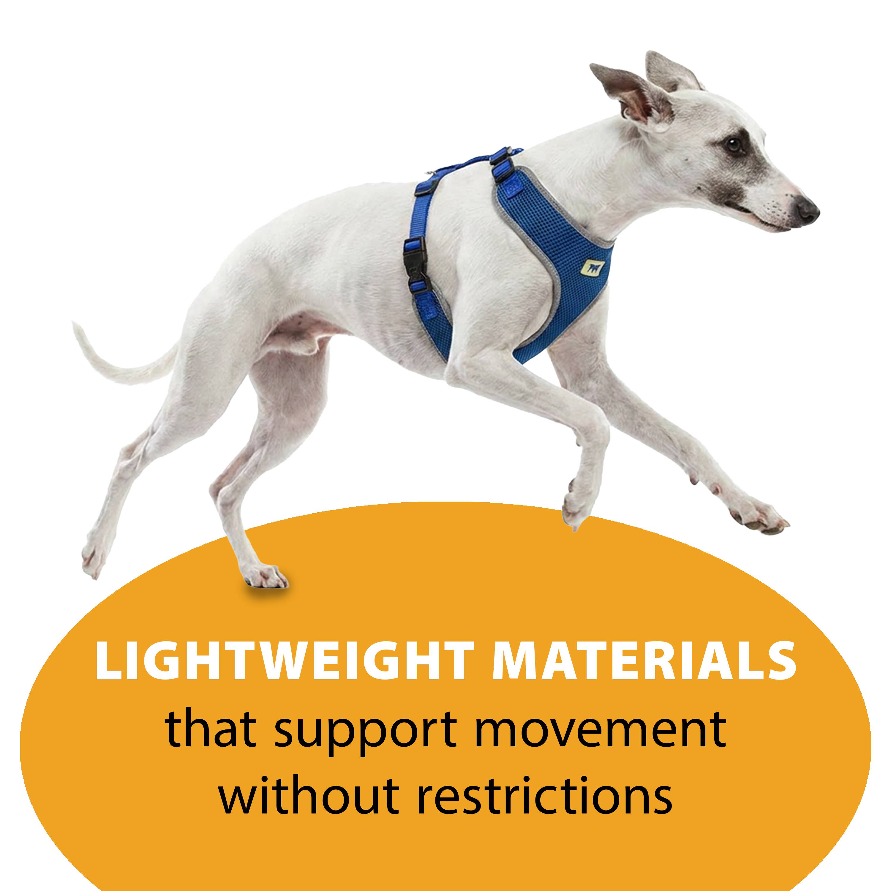 Ferplast - Ferplast Harnais Petit Chien NIKITA S, Harnais pour Chien Respirant, Rembourré et Ajustable, Facile à Porter, Bords Réfléchissants, Poitrine 30-41 cm. - Image 6