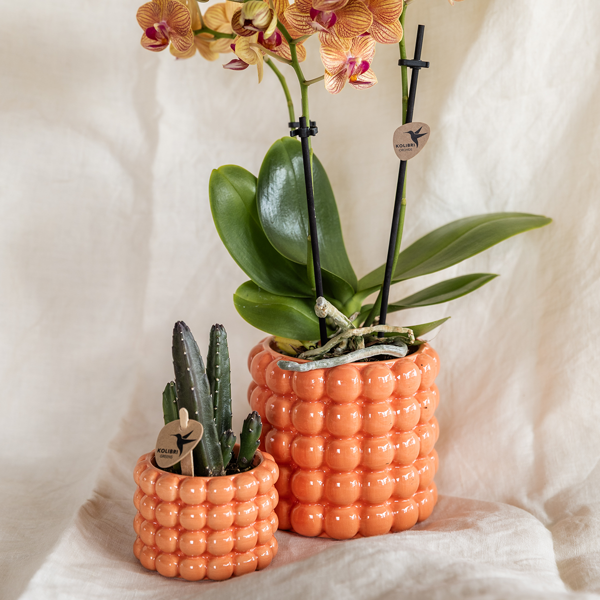 Poppy Orange - H35cm - Image 2