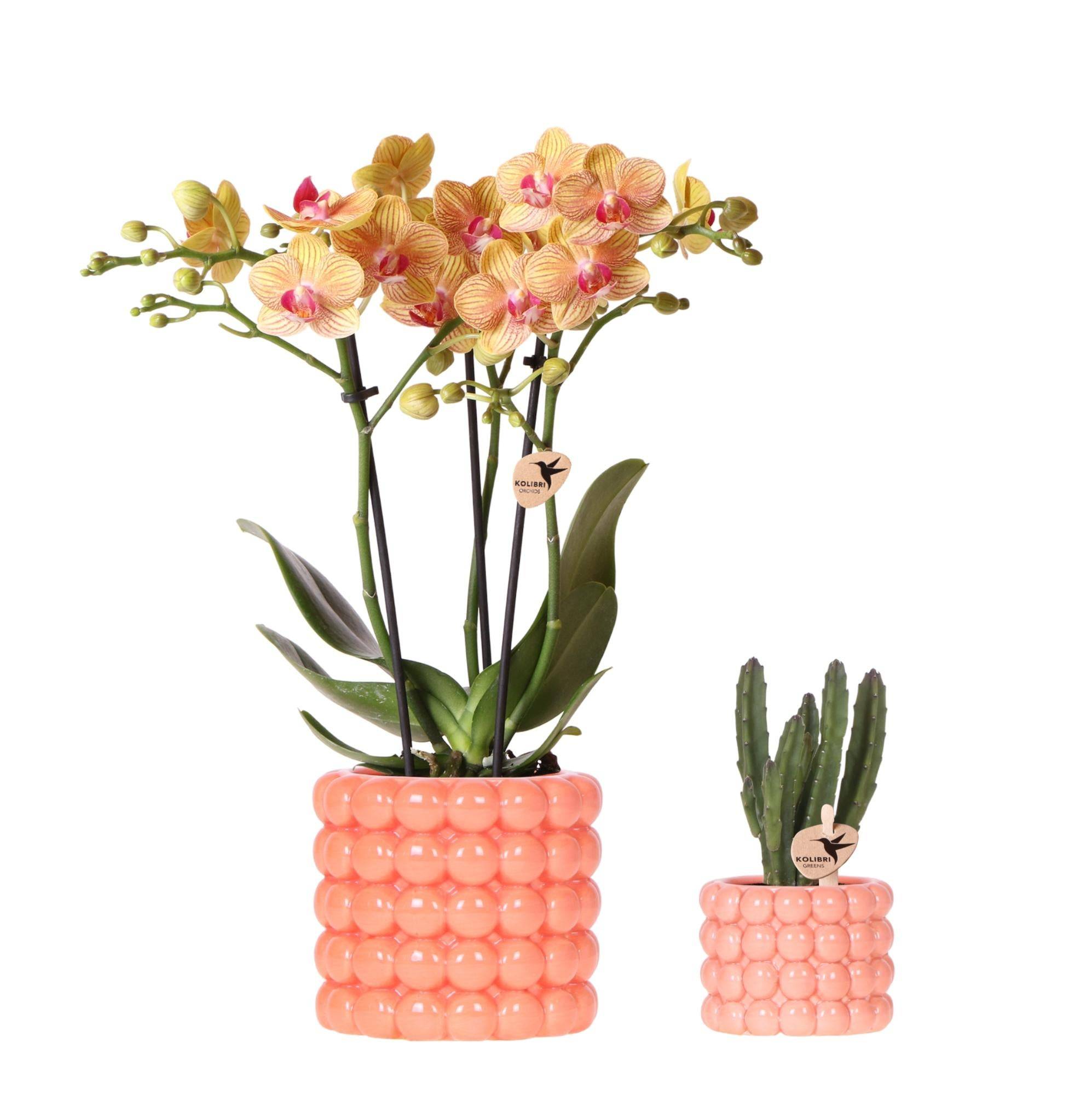 Poppy Orange - H35cm - Image 1