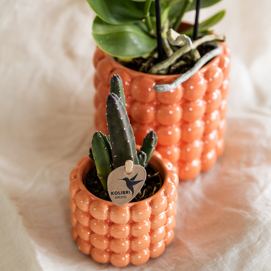 Poppy Orange - H35cm - Image 4