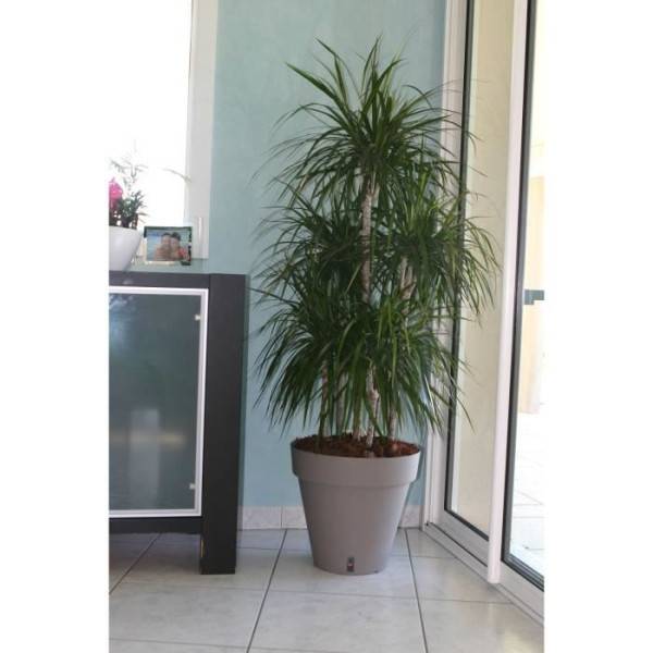 Riss - Bac A Fleurs Rond Riviera Loft - Plastique - Diametre 30 Cm - Taupe - Image 2