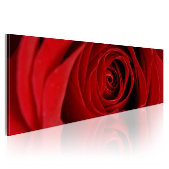 Tableau Imprimé "Rose du Nord" 40 x 120 cm - Image 1