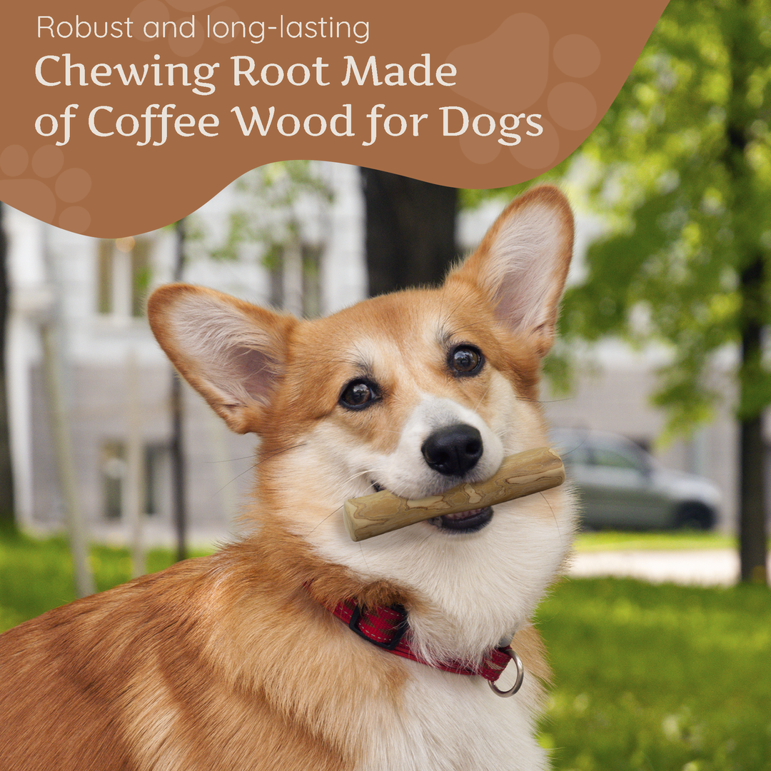 Wildfang - Wildfang - Coffret Gourmet Mini - pour chiens de très petite taille - Image 3