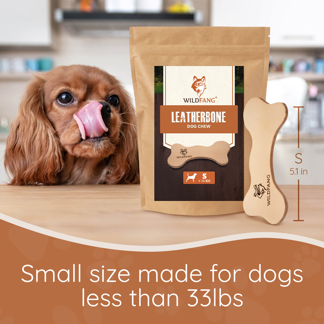 Wildfang - Wildfang - Coffret Gourmet Mini - pour chiens de très petite taille - Image 7