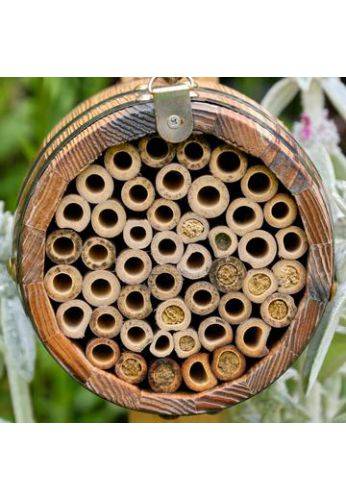 Wildlife world - Abri pour abeilles pollinisatrices - Tonneau - Image 3