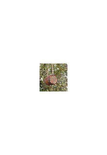 Wildlife world - Abri pour abeilles pollinisatrices - Tonneau - Image 4