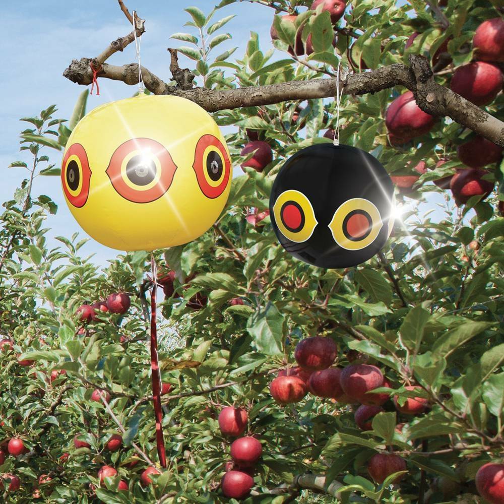 Terre Jardin - Ballon effaroucheur d'oiseaux x2 - Image 6