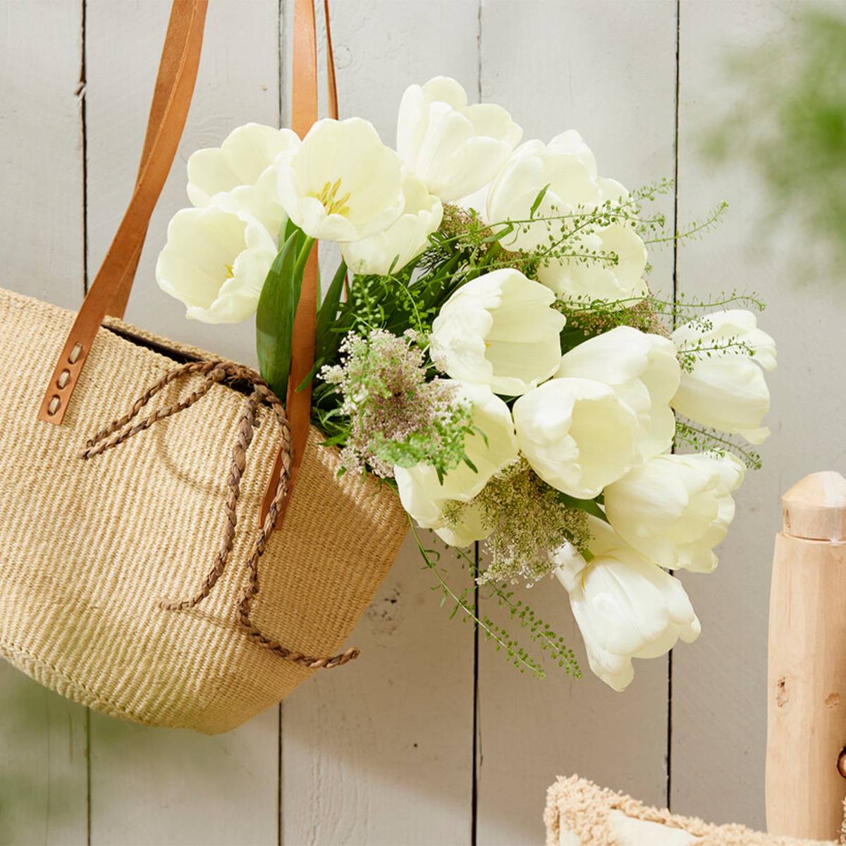 Mélange de 20 - Tulipa - Bulbes de tulipes - Blanc - Bulbes à fleurs - Floraison printanière - Image 6
