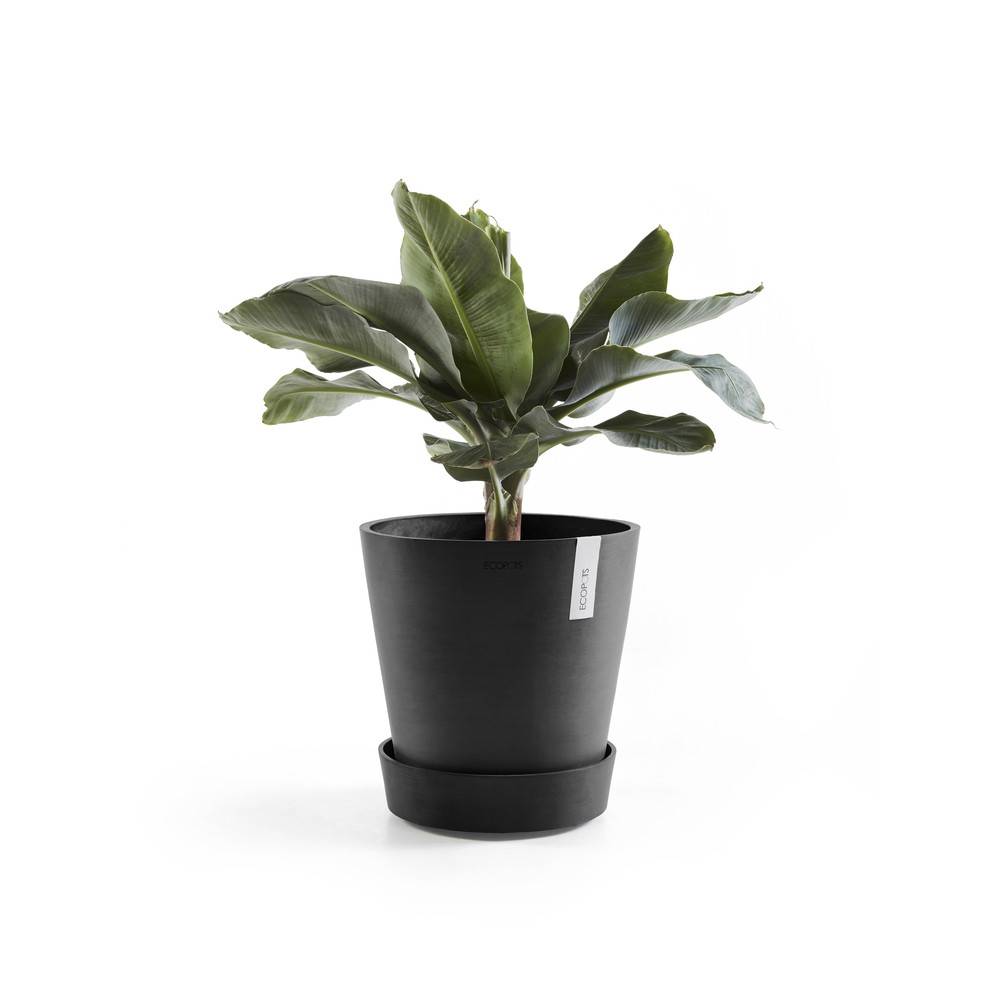 Ecopots - Support à roulettes Wheels 60 Gris Foncé - Ø 51 x H. 12,4 cm ECOPOTS - Image 3