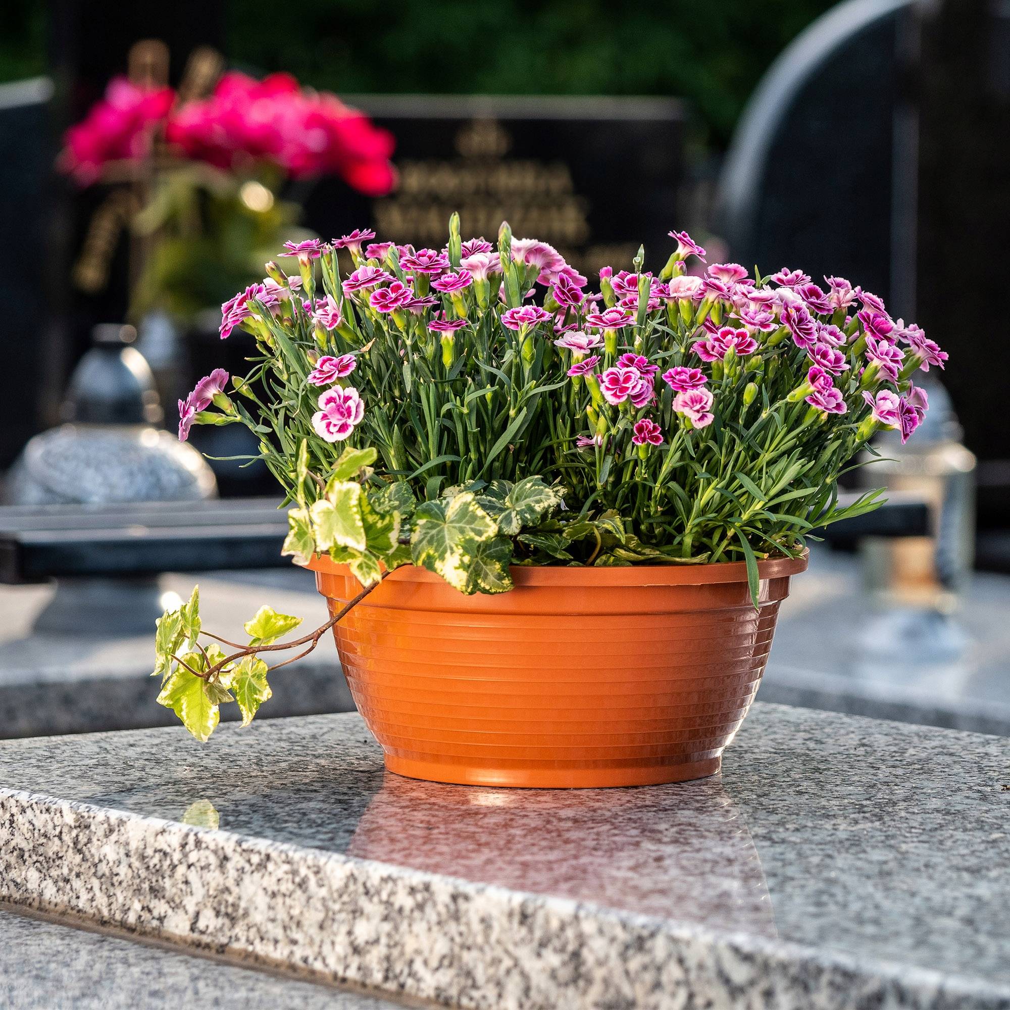 Pot de Fleur pour Cimetière Pierre Tombale en Plastique Bol de Cimetière 22cm - Image 5