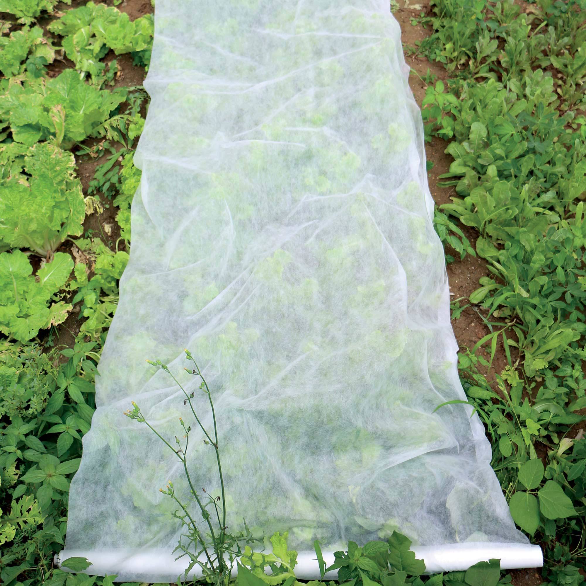 Voile d'hivernage en rouleau blanc 30g/m2 WERKA PRO - Image 4