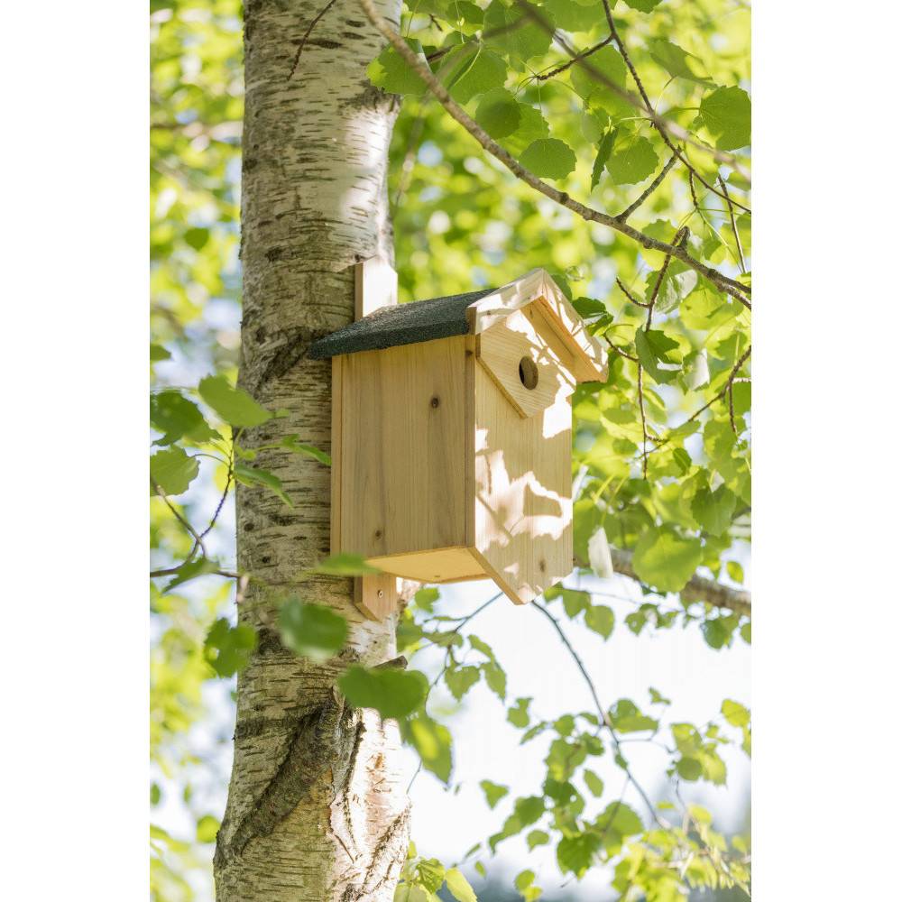 animallparadise - Nichoir pour les oiseaux nichant dans les cavités. Dimensions: 25 × 40 × 22 cm/ø 2,7 cm - Image 2