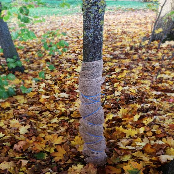 75m x 1m tissu de jute 105g/m² tapis de jute jute de jardin tissu de jute toile de jute ruban de jute - Image 7