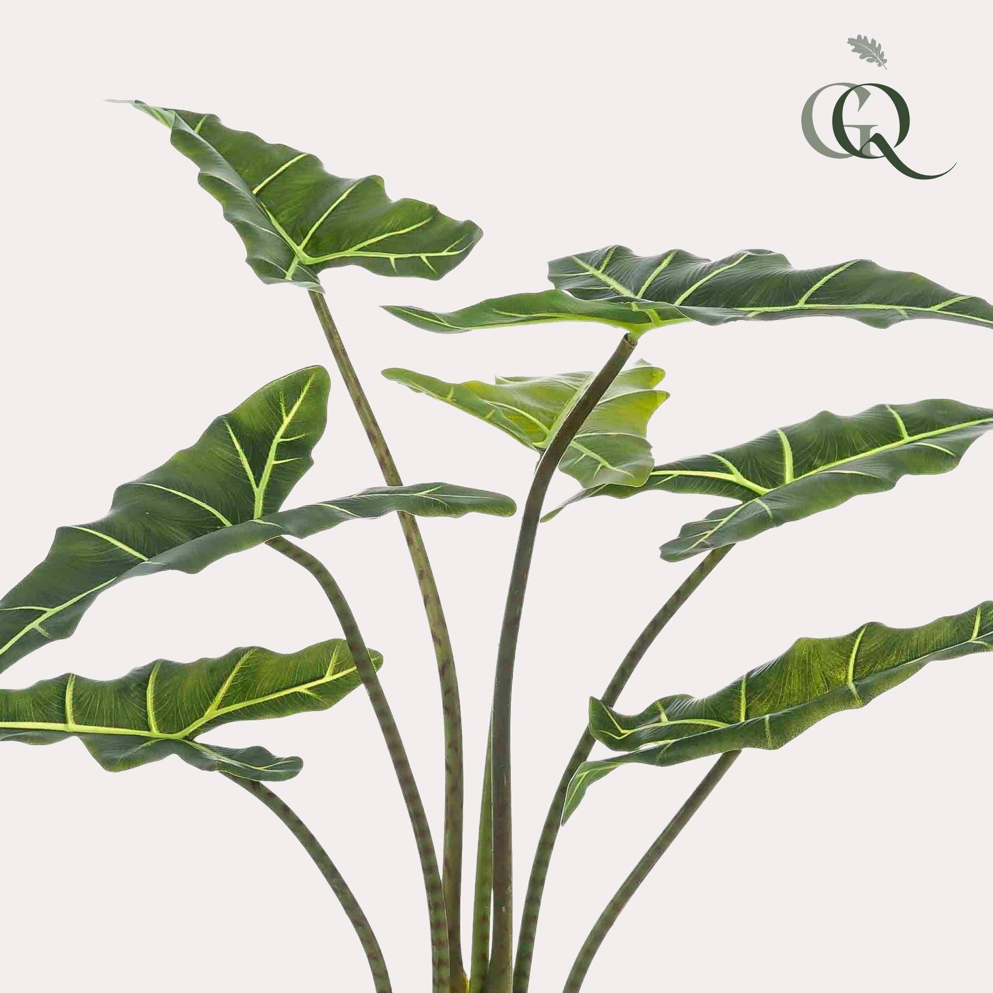 La Green Touch - Alocasia plante artificielle - h90cm, Ø14cm- La Green Touch - Image 2