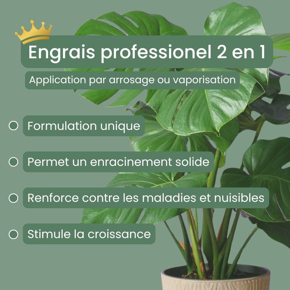 Duo - Substrat universel 10L + Engrais liquide universel 250ml + pipette graduée offerte - Image 2