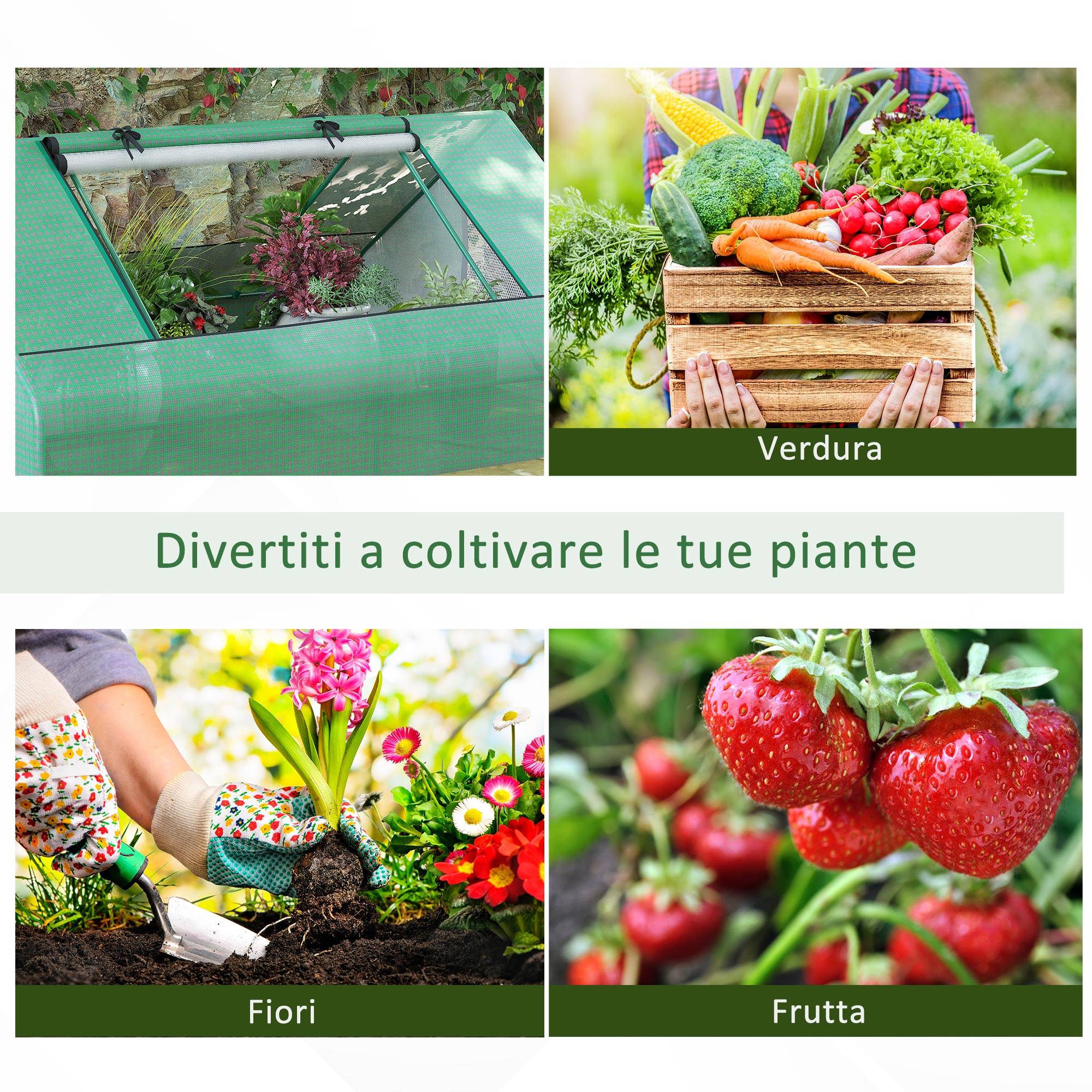 Sans Marque - Serre de jardin acier PE 180x140x80 cm serre compacte fenêtres enroulables culture légumes fleurs serre potagère verte jardin extérieur - Image 9