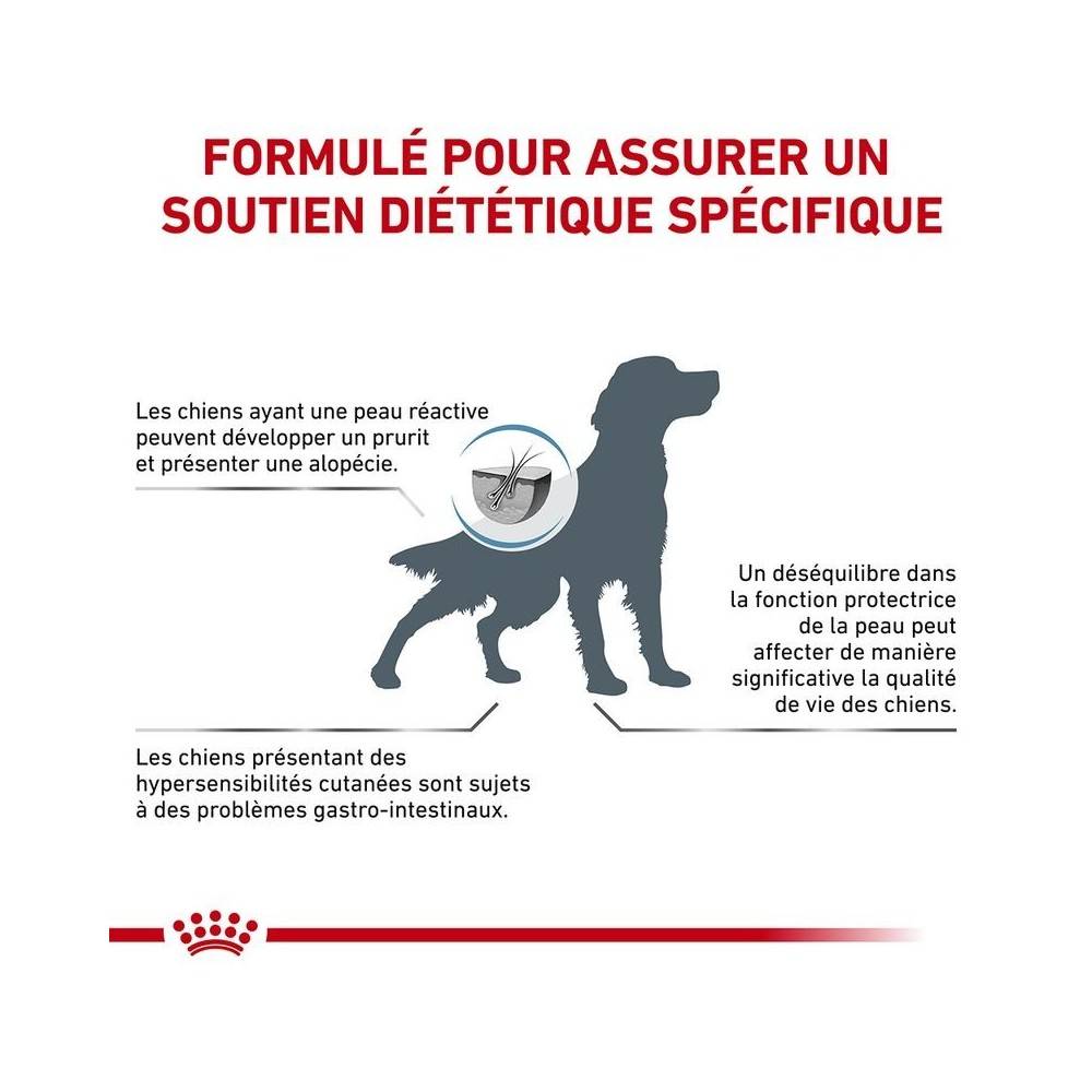 Royal Canin - Croquettes chien VETERINARY DOG SKIN CARE - Royal Canin 11 kg - Image 2