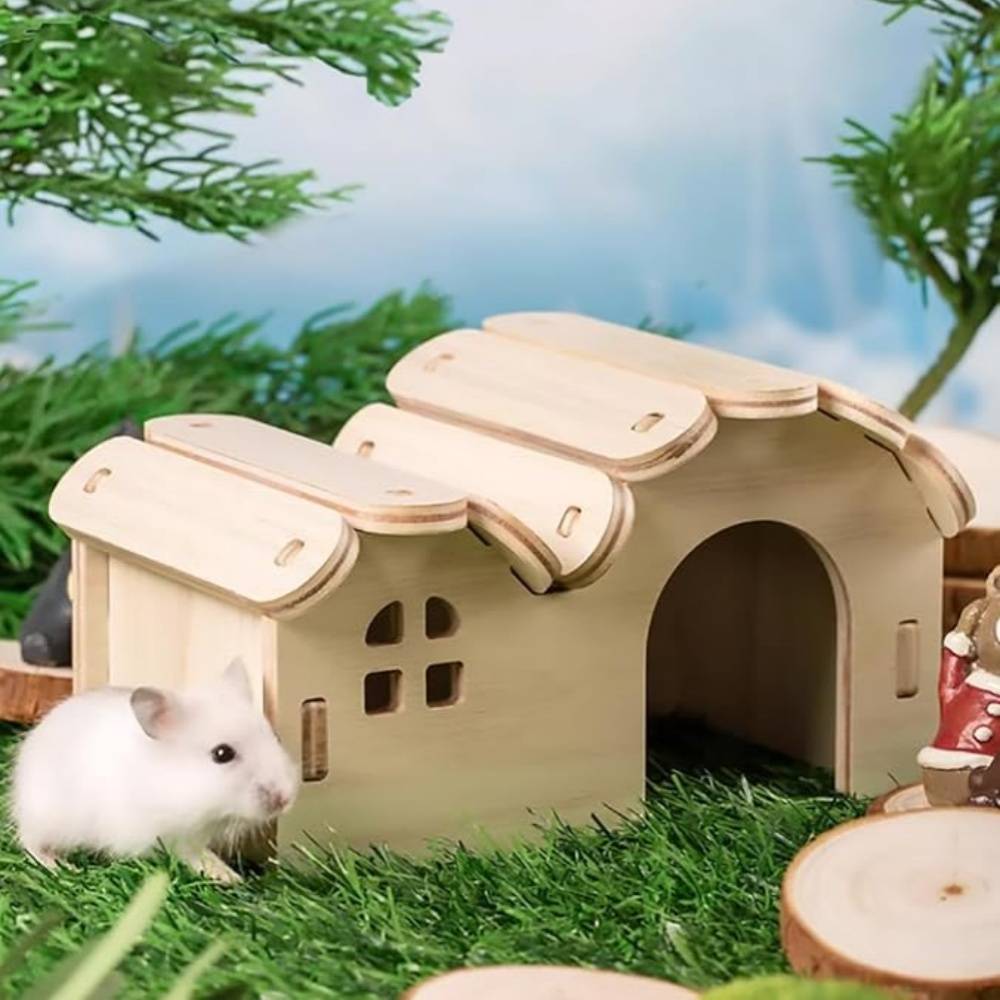 Maison pour hamsters DtopbuyAge - Image 4