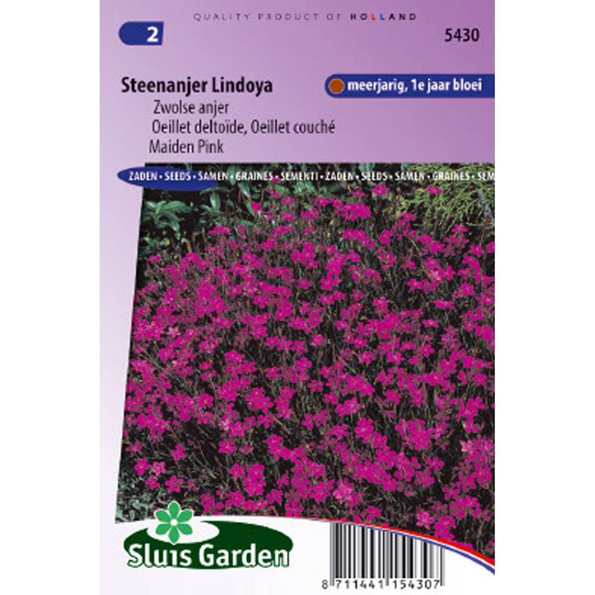 Graines d'Oeillet deltoïde Lindoya - Dianthus deltoides Graines