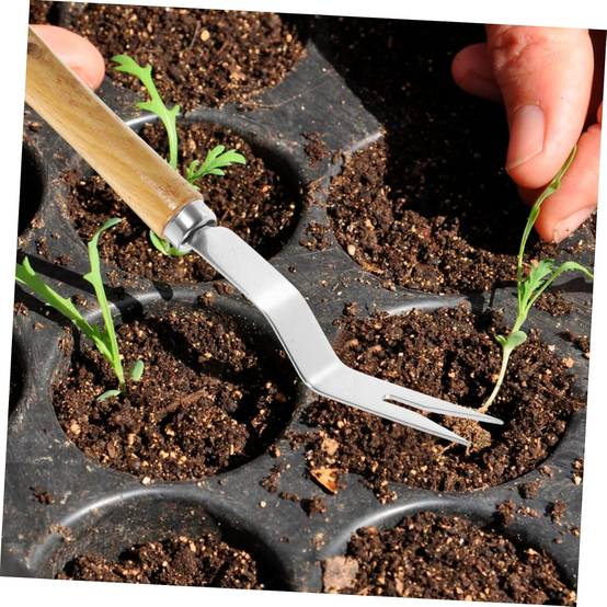Pelle Jardin Solide - Manche Bois & Acier Inoxydable-Living123 - Image 3