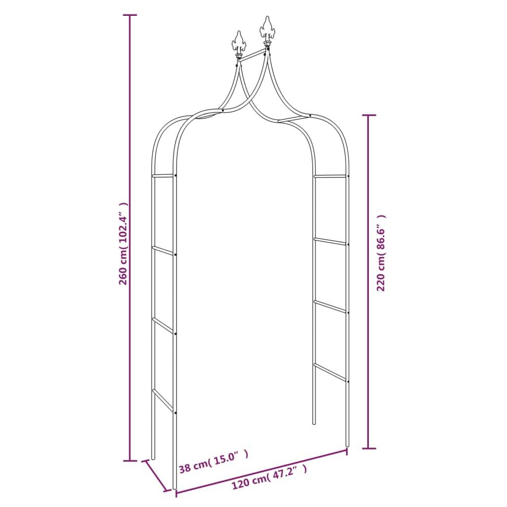 Prolenta Premium - Pergola acier noir  120 x 38 x 260 cm  - Prolenta premium p335.4 - Image 7