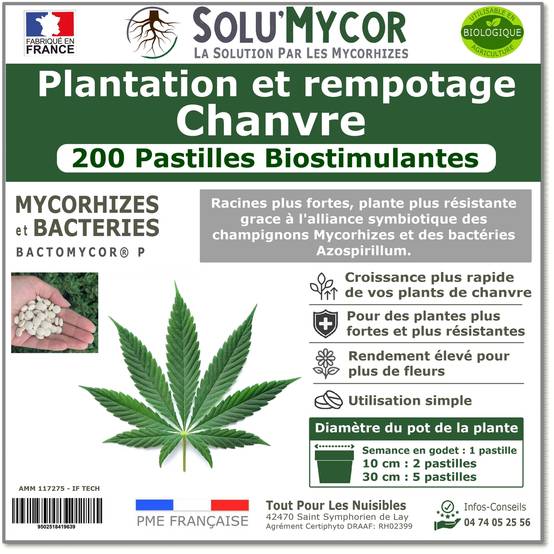 SoluMycor 200 Pastilles Biostimulantes Chanvre Ideal pour Semis et Plantation Mycorhizes et Bacteries Azospirillum - Image 1
