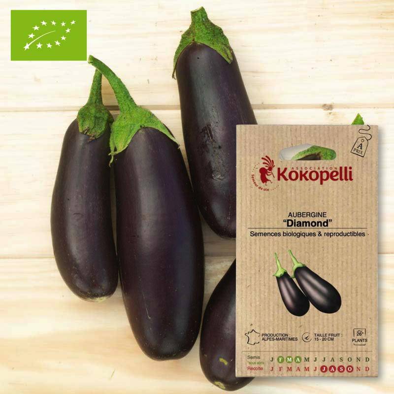 Association Kokopelli - Aubergine Diamond- Graines bio à semer - Image 1