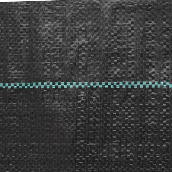 Vidaxl - Membrane anti-mauvaises herbes noir 2x200 m PP vidaXL 4005163 - Image 7